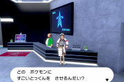 【ポケモン剣盾】育成環境の改善はどこまで進化するか　伝説の3v以上確定とかも邪魔だよな・・・
