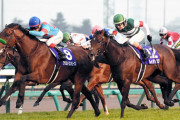 【2018年有馬記念優勝】ブラストワンピース　引退し乗馬へ