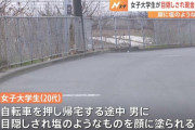 女子大生、後ろから近づいてきた男に塩のような物を塗られバッグを奪われる