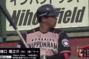 日ハム育成、樋口のイースタン成績がエグすぎる件