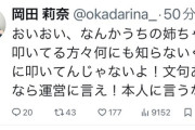 岡田奈々の妹がブチギレ