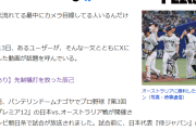 【悲報】若者、野球に失望…「なんで代表選手がふざけてんの？サッカーじゃあり得ない。所詮代表ごっこ」