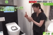 韓国人「日本の最新型“50万円級ハイテク便器”に搭載された機能に韓国人が驚愕！」→「驚愕の技術力（ﾌﾞﾙﾌﾞﾙ…」