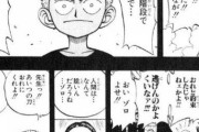 【悲報】ワンピースのくいなさん（ゾロが子供の頃に階段から落ちたやつ）やはり生存していた