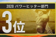 S-PARK 100人分の1 パワーヒッター部門３位にDeNAオースティンが選出！