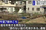 【悲報】埼玉の猫バラバラ死体遺棄事件、2週間経っても止まらない……