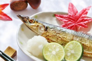 【悲報】さんま、去年の８割減！！ウナギ並みの高級魚へ…