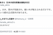 【ヒント：植物】X民「神宮外苑の木は増えます」共産党「増えません。大木、高木は伐採、細い木が植えられるだけ。『体積は減少』と都の正式答弁」
