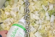 【恐怖】被災地での炊き出しの豚汁に “ミネラル入りサプリ”を投入するグループが現れる　 被災者は知らず　団体は「どれだけ摂っても問題ない。アンチは無知」