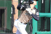 なぜ大谷翔平はNPBでシーズン22本塁打しか打てなかったのか