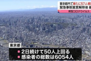 【画像】半年前の東京がこちらｗｗ