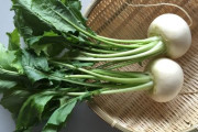 かぶ（蕪）って根菜の中でめちゃくちゃ過小評価されとるよな？