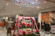 『ワークマン女子』今は8店舗しか無い　400店舗目標