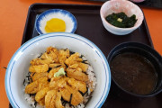お前らこのウニ丼定食にいくら出せる？