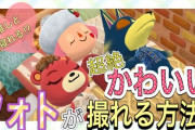 【ポケ森】しもやけクッキーのベッドは3人で寝れる！？どうぶつに囲まれて寝るの最高…(画像あり)【どうぶつの森 まとめ】