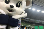 プロ野球、6月19日に開幕決定！！
