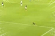 【犬】 プロサッカーの試合中、ピッチに犬が乱入してきた。ボールだワン♪ → 犬はこうなります…