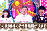 【日向坂46】おひさまだったら、1時間スペシャル皆10回は見てるよな？