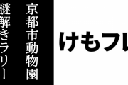 「けものフレンズ×京都市動物園」コラボリアル謎解きゲーム「お宝を目指せ！ すっごーい謎解きラリー！」が開始　コラボメニューも販売