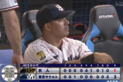 ヤクルトスワローズさん、中日の影に隠れてひっそりと暗黒に落ちる