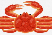 【京都】安価な「ベニズワイガニ」を「ズワイガニ」と表示　京都の高級ホテル「料理長が誤認識」 ← もちろん、おまいらなら簡単に見抜けるよな？