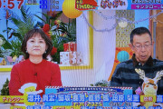 段原瑠々の姉がテレビ新広島の番組のディレクターやってるってお前らなんで教えてくれなかったんだよ
