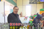 韓国さん、日本のサツマイモ「べにはるか」の種芋を無断で持ち帰り栽培　安価な値段で流通を始めてしまう