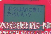 トリビアの泉「ここでさいたまスーパーアリーナ借りたらウケるやろなぁ……w」←結果