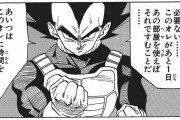 【ドラゴンボール】ベジータって何で意地でも「悟空」じゃなくて「カカロット」って呼ぶのwwwwww