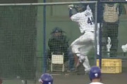 【動画】中日・郡司の打撃がヤバすぎる