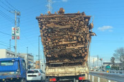 【悲報】とんでもないトラックが日本で発見される