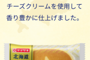【悲報】日本の企業、とんでもないパンを売っていた （※画像あり）