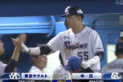 村上宗隆（19）.231(511-118) 36本 96点 184三振 OPS.814