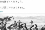 [韓国の反応]神風を美化する日本人　韓国ネット民「平和を夢見て特攻をするなんて矛盾の塊だろうに」