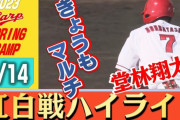 カープ堂林2安打1打点！広輔タイムリー2塁打！韮澤3塁打！玉村2回0失点！黒原1回2K！ベテラン若手ともにアピール【紅0-3白/紅白戦/試合結果】