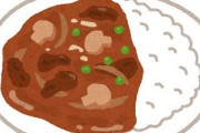 「ハヤシライス」←こいつ言うほどカレーの劣化か？?