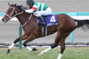 【競馬予想】[1]第65回阪急杯(G3) /2021