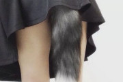 【画像】コスプレイヤーがよくつけてる尻尾って穴に挿入してるんやなｗｗｗｗｗｗｗｗｗ