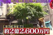 マツコ驚愕「凄い憧れる」　“古い一軒家”9億円の売却提案を断った92歳女性の家を売らない理由とは