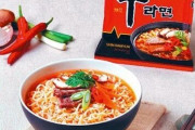 【韓国】日本のブロガーが選んだ世界のラーメンで『辛ラーメン』が1位、『プルダック』も7位に