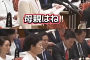 【悲報】れいわ新撰組・奥田ふみよ氏「母親は戦争に行かせるために子供を産んだんじゃないんだよ！！」