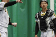 阪神　2年目捕手・中川が“2軍強化指定選手”に　岡田監督が将来の正捕手へ指名