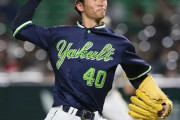 ヤクルト市川悠太、17日巨人戦に先発で今季初登板！