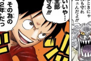 【悲報】ワンピースって仲間同士での「修行」みたいなの無い説ｗｗｗ