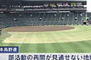 高校球児、自粛で練習が減ったら逆に球速アップ 「明らかに球の質が良くなった」 多すぎる練習量が成長を阻害か