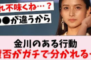 【悲報】金川沙耶のアレ、ガチの激論に…に対するオタの反応集