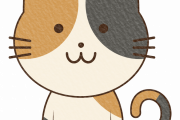 猫の性格