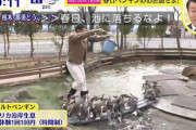 【スッキリ】加藤浩次「足元気をつけろよ（笑）」ペンギン池落下でオードリー春日を煽った “重罪”「後輩は逆らえない」