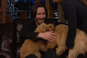 テレビ番組に出演し、たくさんの犬を抱くキアヌ・リーブスの姿を愛でる会