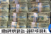 韓国人「韓国の外貨準備が90億ドル減少！金融危機以降最大幅で減少する」→「トランプの通貨スワップが韓国を救った」　韓国の反応